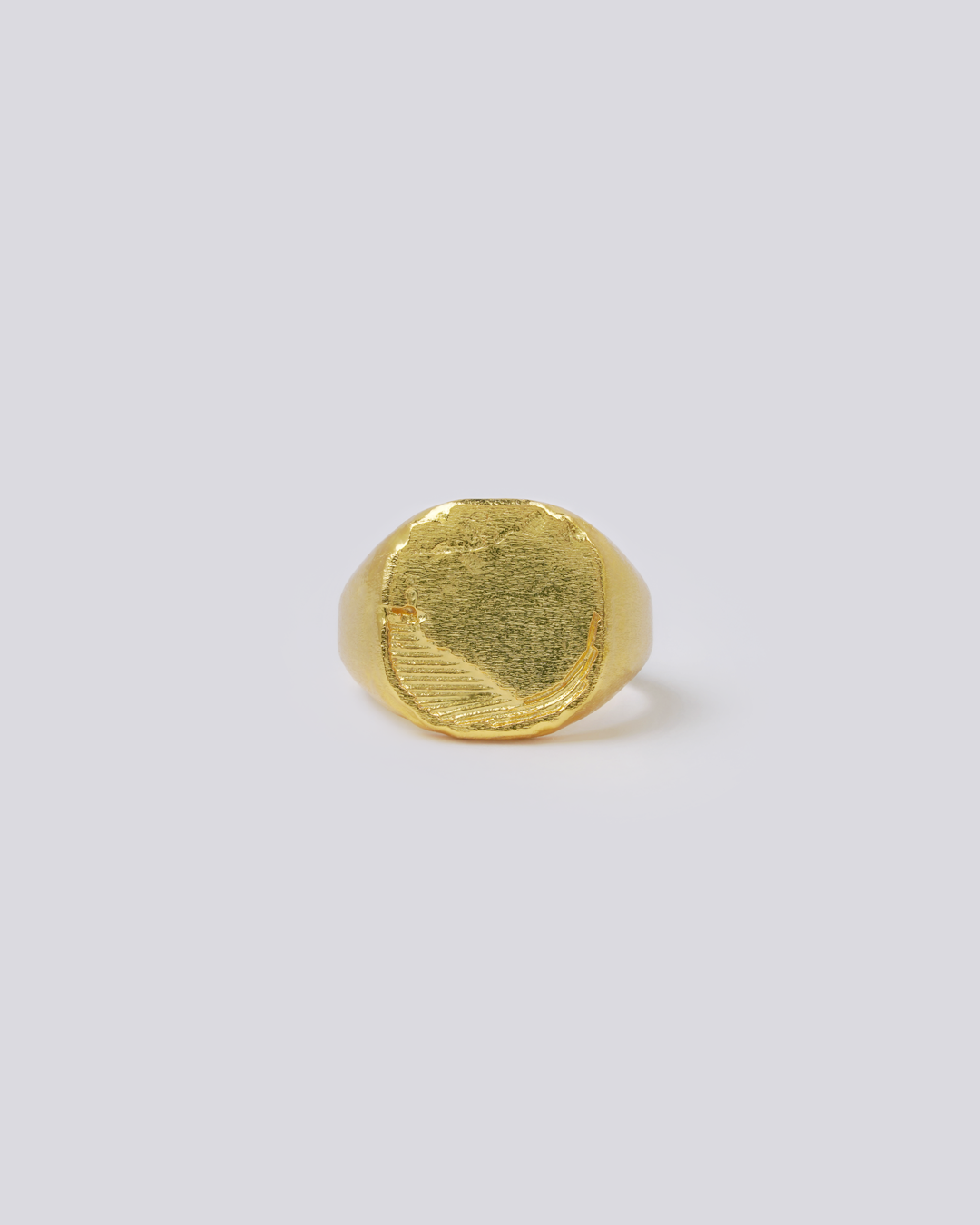 Big hot sale signet ring